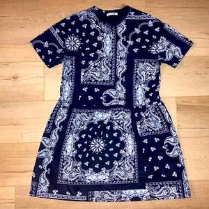 ZARA Drop Waist Dress